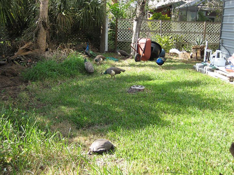 Picture 025
